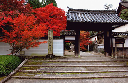 【イベント】 酬恩庵 一休寺と紅葉を楽しむ為の、期間限定カフェ「CANVAS TO KYOTO IN IKKYUJI」