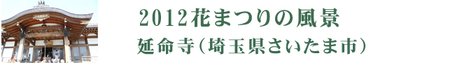 2012花まつりの風景　延命寺（埼玉県さいたま市）