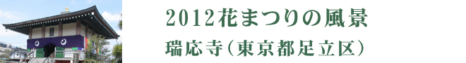2012花まつりの風景　瑞応寺（東京都足立区）
