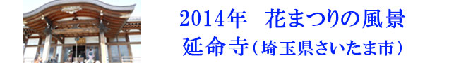 2014花まつりの風景　延命寺（埼玉県さいたま市）