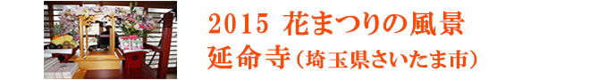 2015花まつりの風景　延命寺（埼玉県さいたま市）