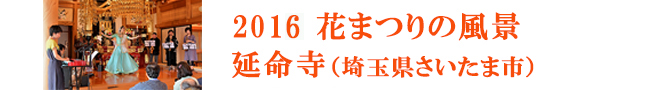 2016花まつりの風景　延命寺（埼玉県さいたま市）