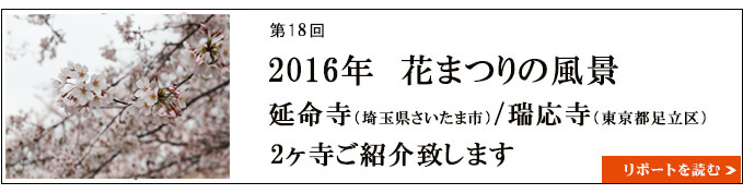 2016年　花まつりの風景 