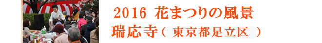 2016花まつりの風景