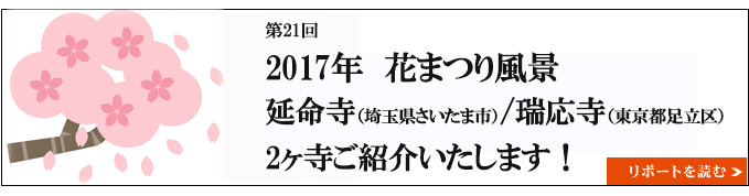 2017年　花まつりの風景