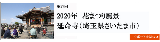 2020年　花まつりの風景　延命寺（埼玉県さいたま市） 